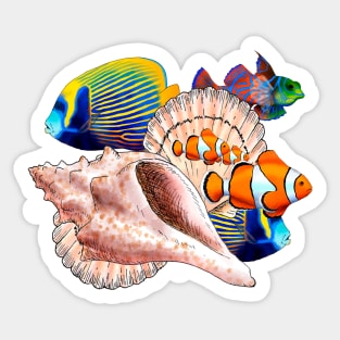 Shells Sticker